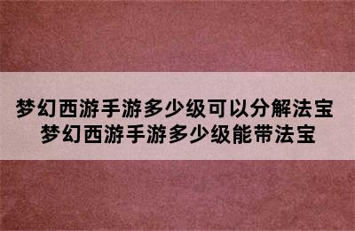 梦幻西游手游多少级可以分解法宝 梦幻西游手游多少级能带法宝